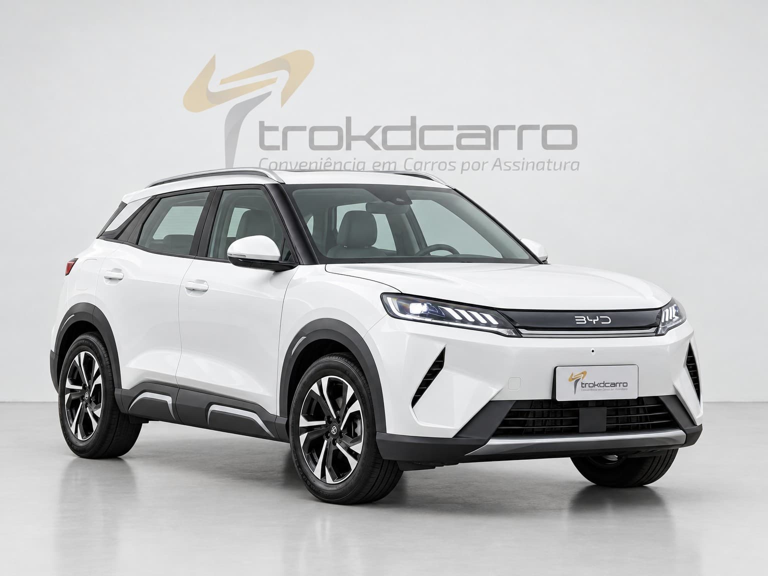 BYD ATTO 2