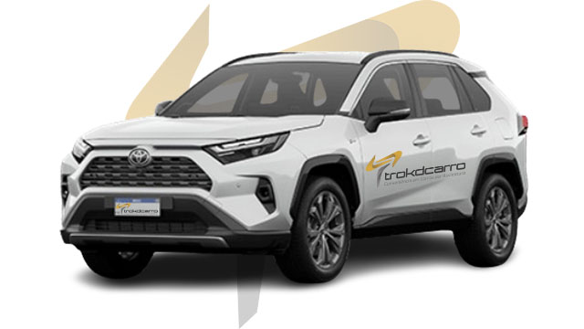 SX Connect HEV Hibrido AT